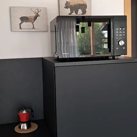 Mountain & Appartement *