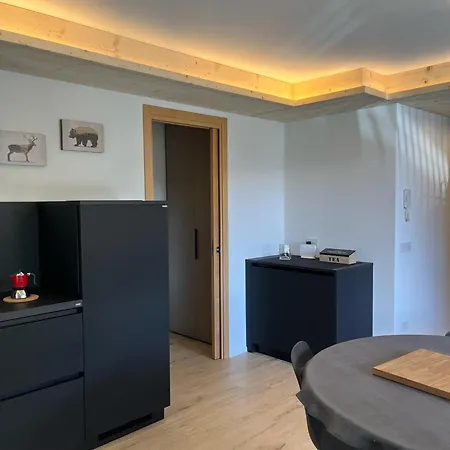 Mountain & Apartment VALDIDENTRO